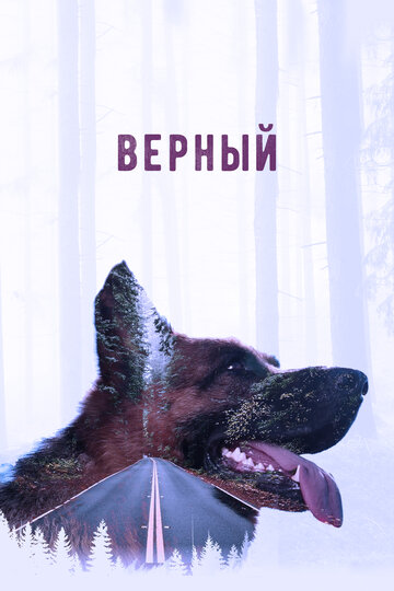 Верный (2016)