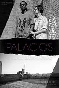 Palacios (2017)